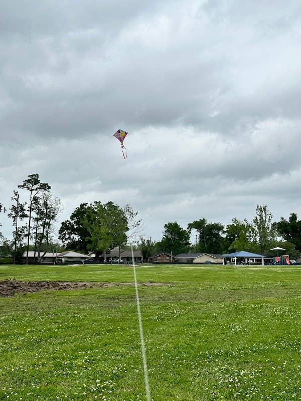 Mulberry Park - Image 2