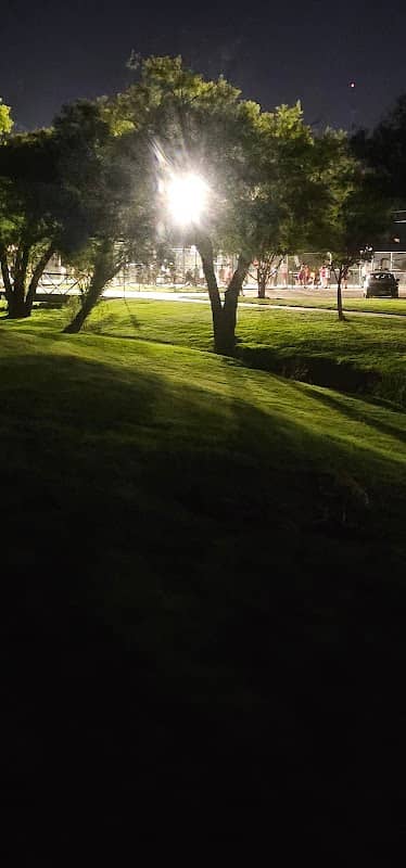 Elisa Carver Park - Image 2