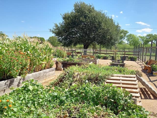 Ron Pedde Memorial Community Garden - Image 2