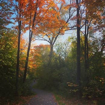 James C Nelson Park - Image 2