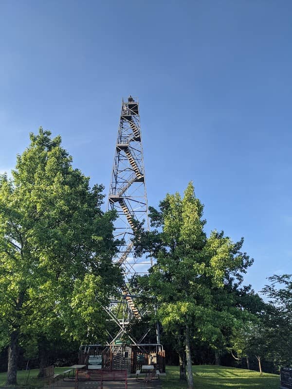 Razorback Tower - Image 1