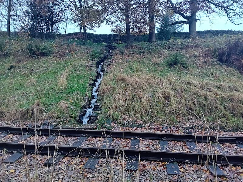 Ebor Mill Nature Reserve - Image 2