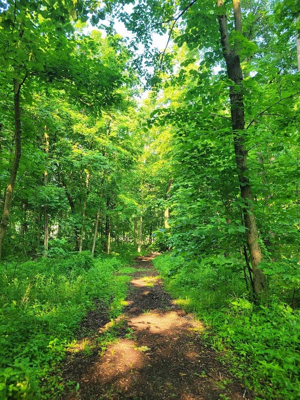 Waa Kee Sha Park - Image 3
