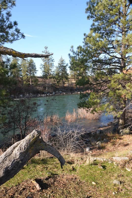 Flora Pit Park - Image 2