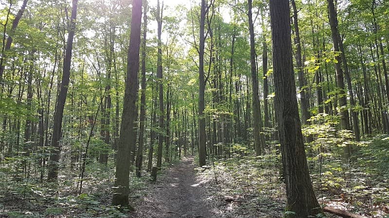 Long Sault Conservation Area - Image 1