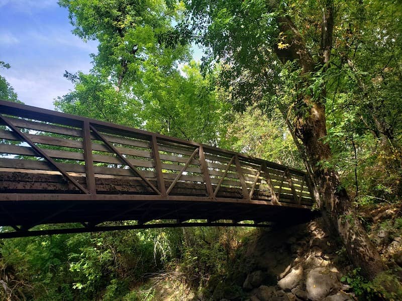 Durham City Park - Image 2