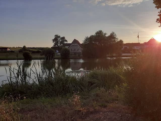 Treppendorfer Weiher - Image 1