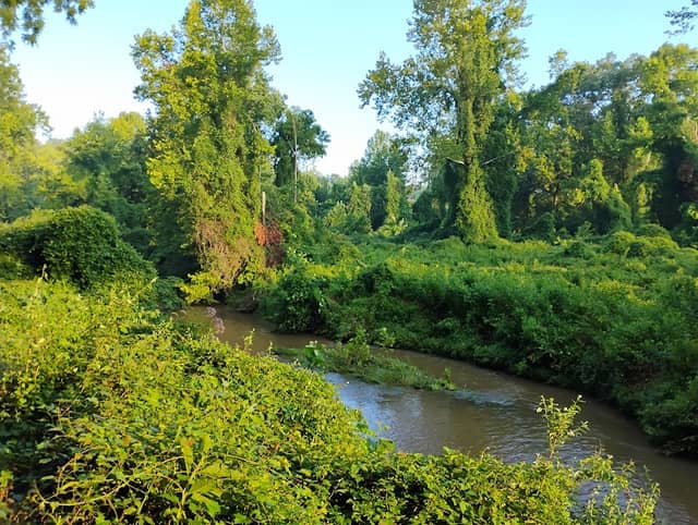 Mill Park - Image 1