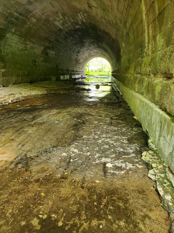Bray Conservation Area - Image 1