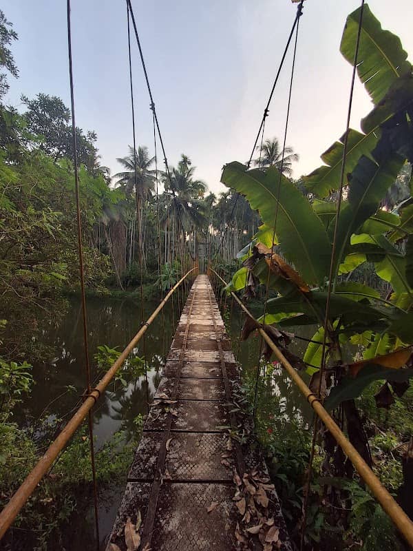Hanging bridge - ತೂಗುಸೇತುವೆ - Image 1