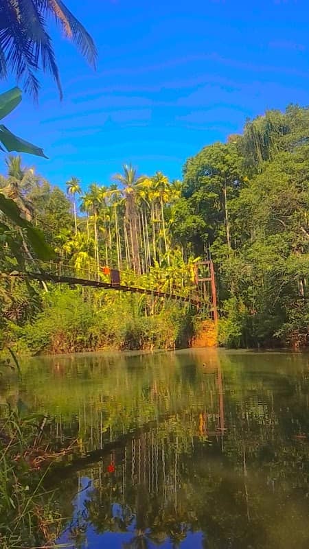 Hanging bridge - ತೂಗುಸೇತುವೆ - Image 2
