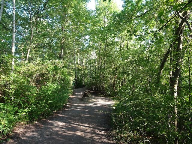 Garbsen Park - Image 1