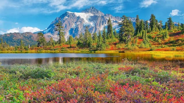 Mt. Baker Ski Area - Image 2