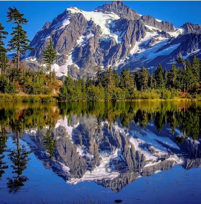 Mt. Baker Ski Area - Image 3