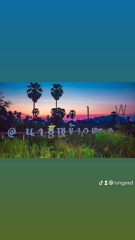 Nabunkhawhom นาบุญข้าวหอม - Image 1