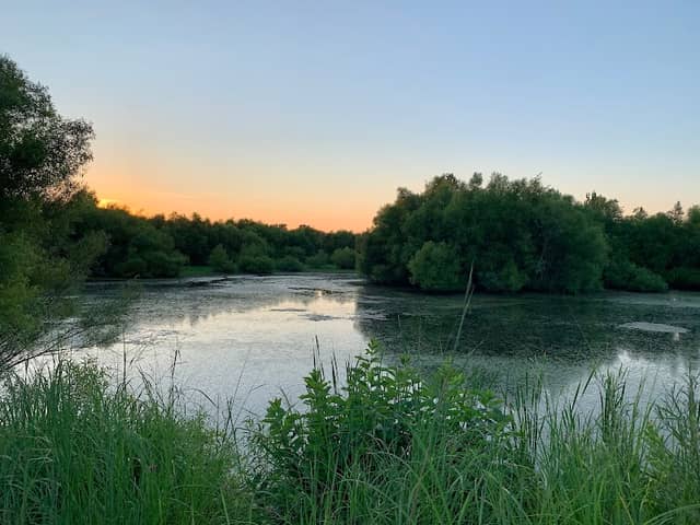 John A. Wannemacher Nature Reserve - Image 1