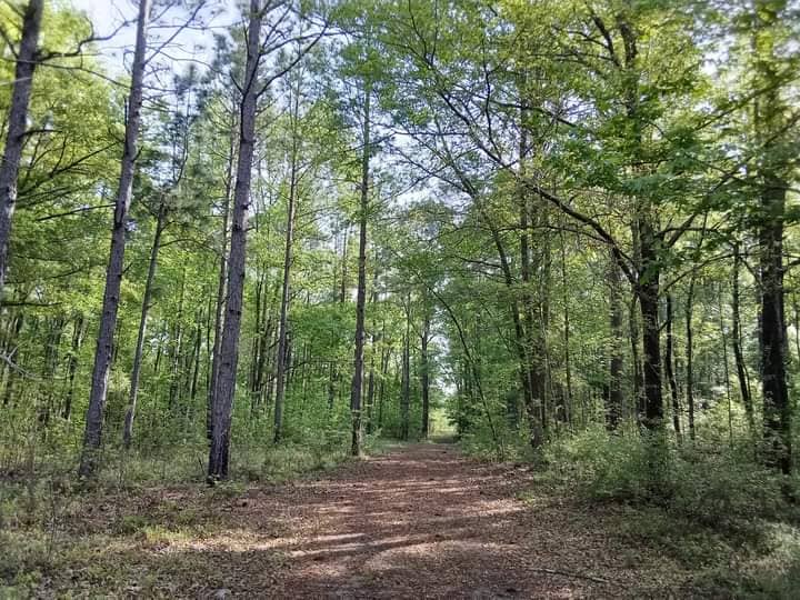 Audubon's Silver Bluff Sanctuary - Image 2