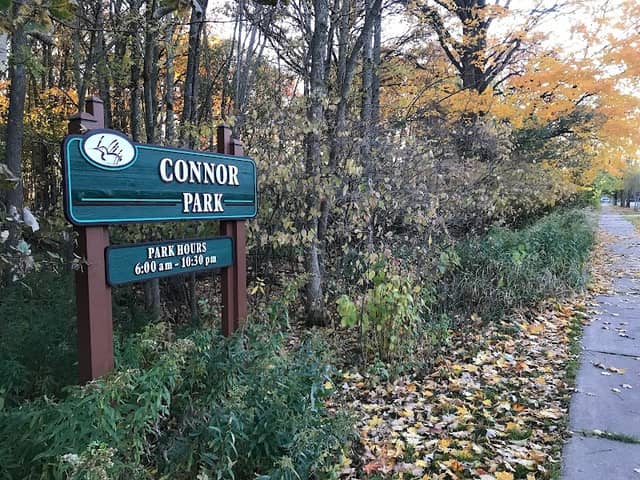 Connor Park - Image 2