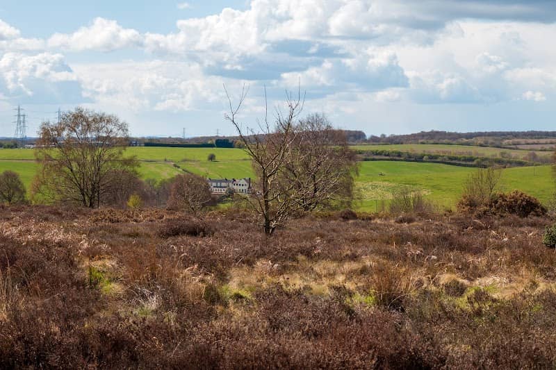 Gentleshaw Common - Image 1