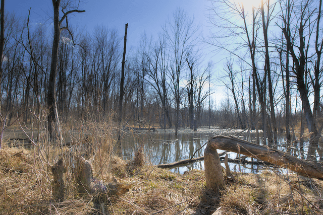 Shawnee Bottoms - Image 1