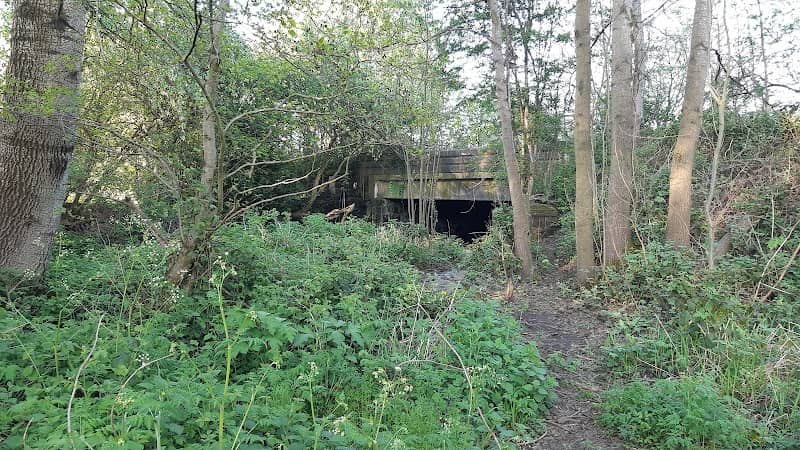 Canal remains - Image 2