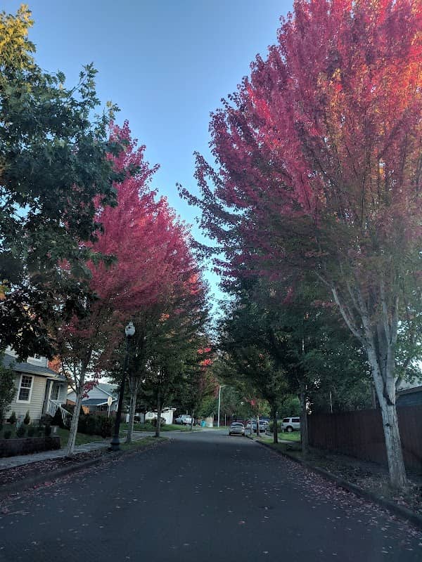 McConnell Park - Image 2