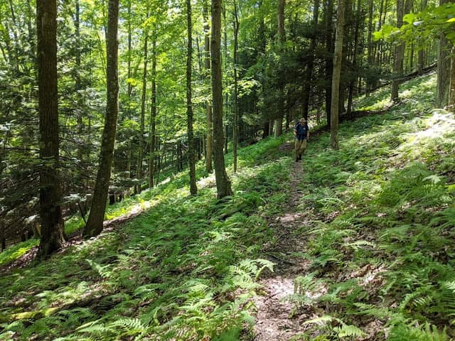 Quehanna Trail - Image 1