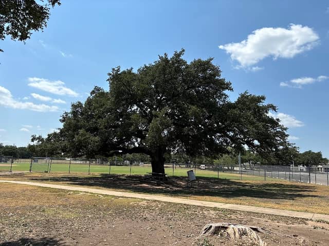 Freedom Park - Image 1