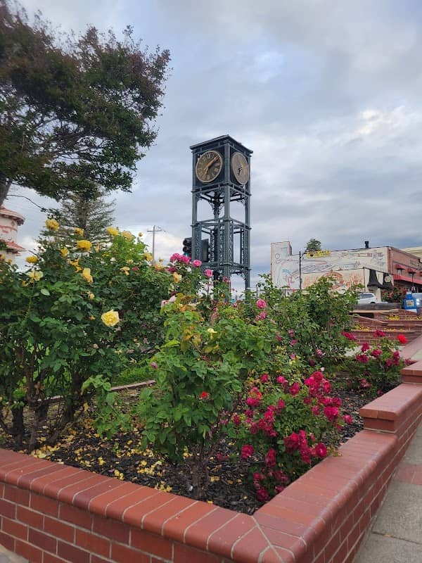 Auburn Clock Tower - Image 1