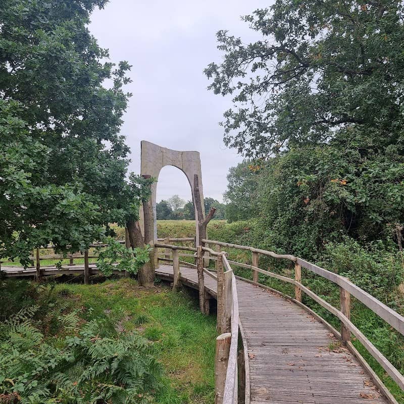 Hope Coppice - Image 1