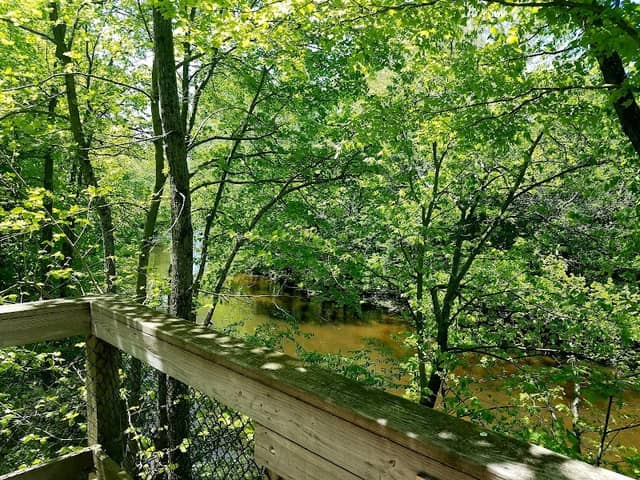 River Overlook Deck | 12 Mile Conservation Area - Image 1