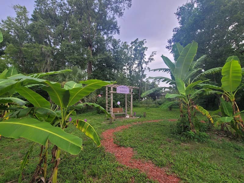 Somer's Garden - Image 2