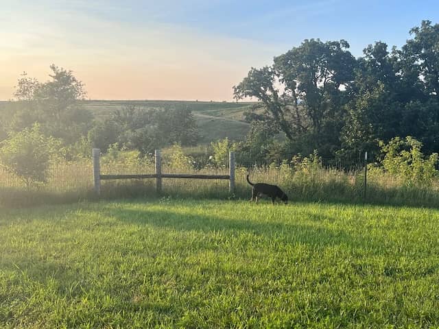 Mineral Point Unleashed Dog Park - Image 1