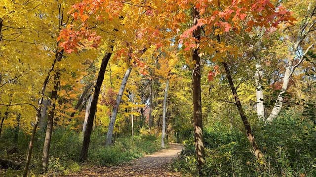 Pioneer Park - Image 3