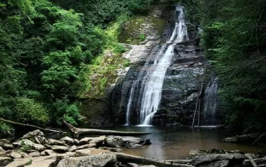 Chattahoochee-Oconee National Forest - Image 1