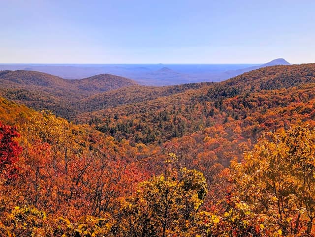 Chattahoochee-Oconee National Forest - Image 2