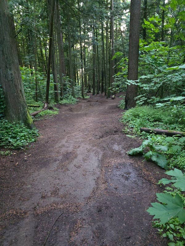 Buckley Park - Image 1