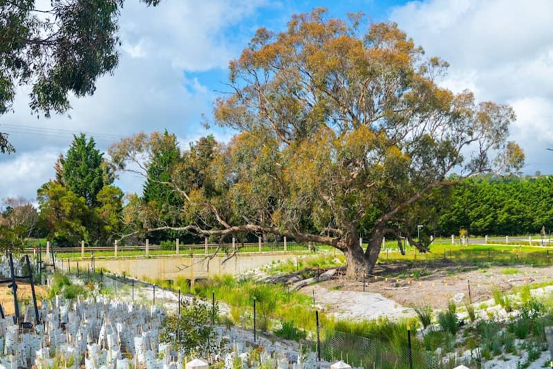 Lazarus Reserve - Image 1