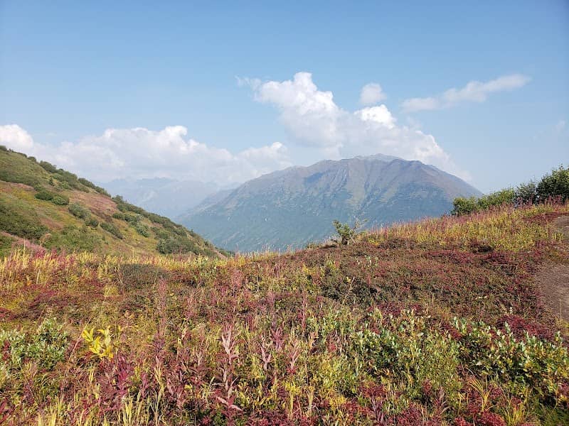 Blue Berry Knoll - Image 2