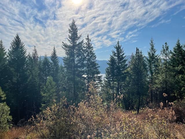 English Point Recreation Trails - Image 1
