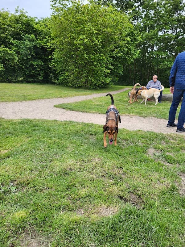 Burhave Hundewiese - Image 2
