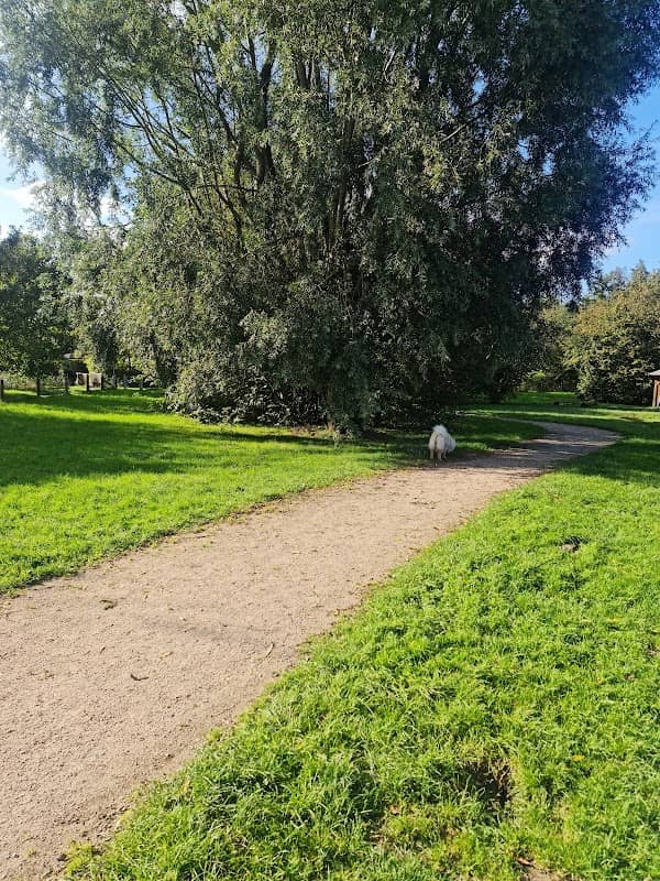 Burhave Hundewiese - Image 1
