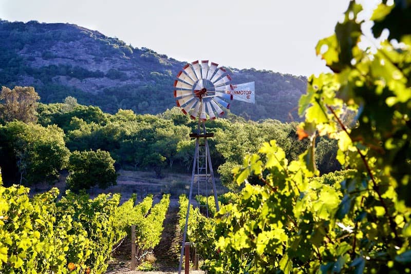 Silver Stag Winery - Image 1