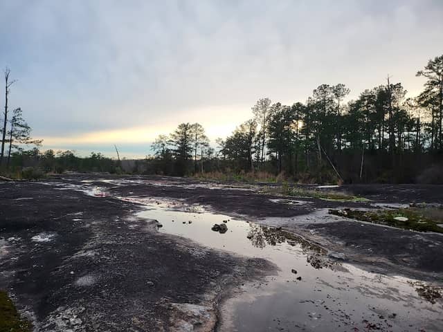 Arabia Mountain National Heritage Area - Image 2