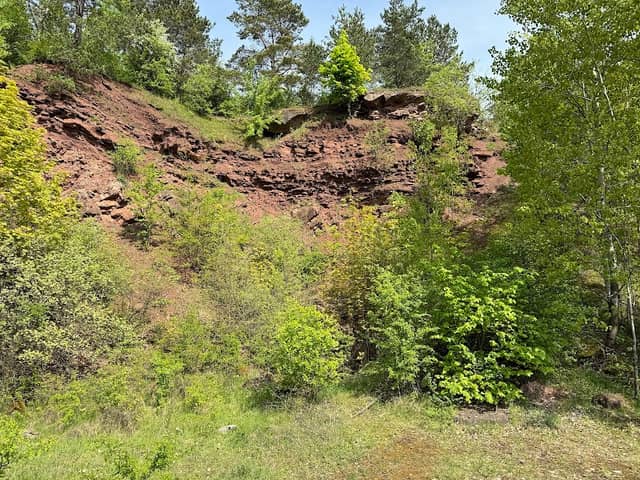 Zachełmie Nature Reserve - Image 1