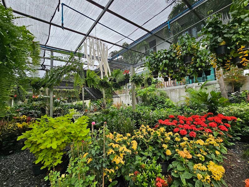 Wandee's Garden - Image 3