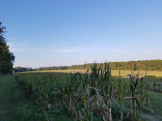 Town of Cary Historic Farm - Image 2