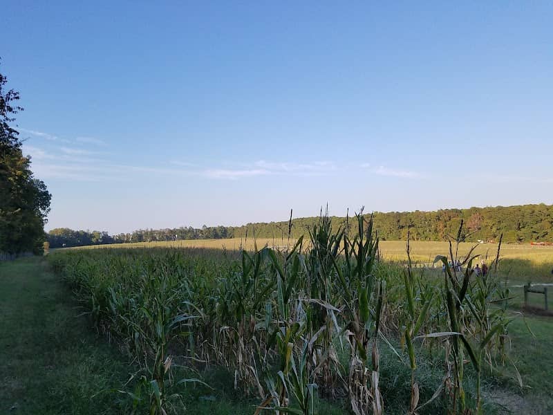 Town of Cary Historic Farm - Image 2