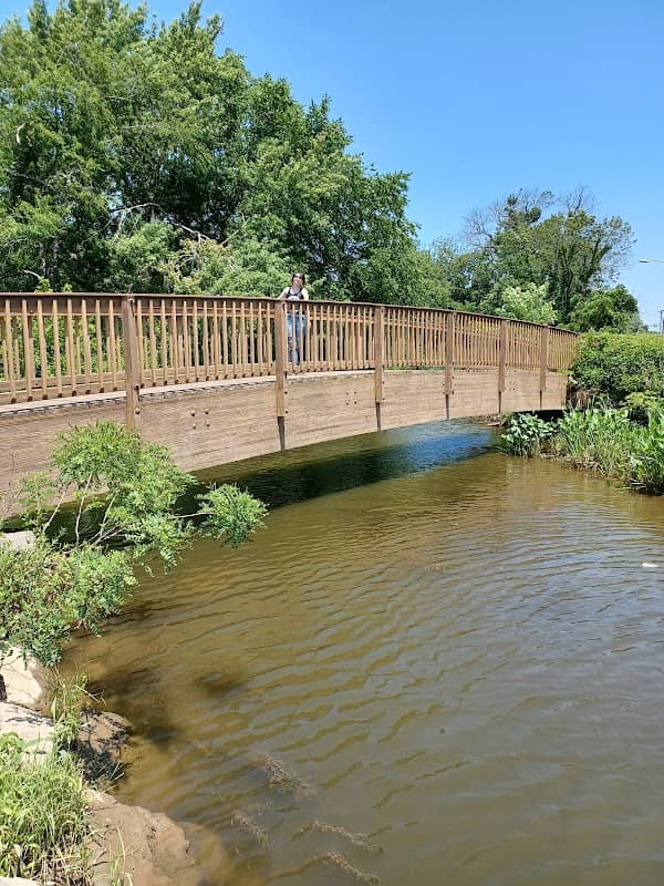 Town Foot Log Park - Image 3