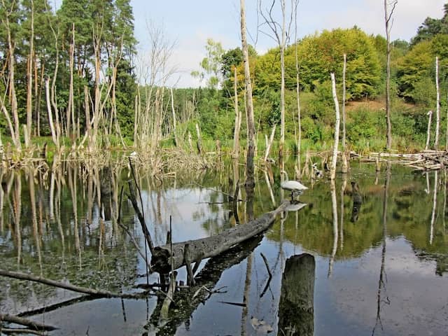 Park Krajobrazowy Promno - Image 1